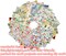 Charm Packs Fabric for Quilting 42Pcs 5'' Precut Fabric Quilt Squares